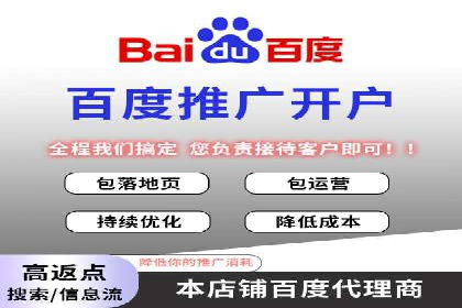 百度搜索优化：成功案例分析及策略解析